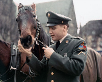 Elvis mit Pferd
